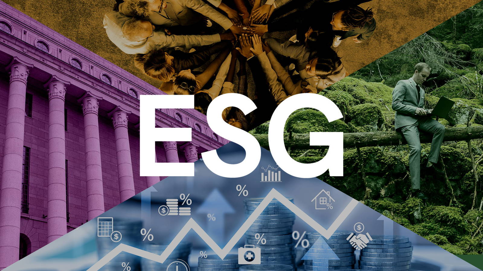 ESG-opas
